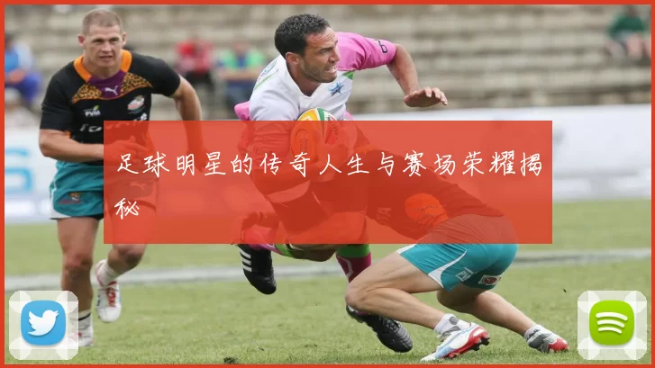 足球明星的传奇人生与赛场荣耀揭秘