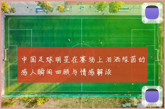 中国足球明星在赛场上泪洒绿茵的感人瞬间回顾与情感解读