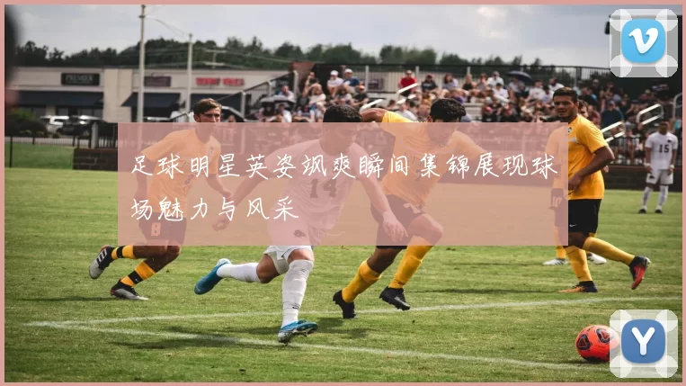 足球明星英姿飒爽瞬间集锦展现球场魅力与风采