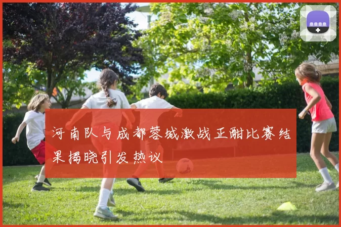 河南队与成都蓉城激战正酣比赛结果揭晓引发热议