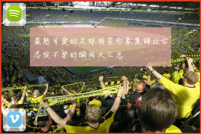最憨可爱的足球明星形象集锦让你忍俊不禁的瞬间大汇总