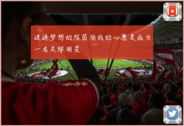 追逐梦想的绿茵场我的心愿是成为一名足球明星