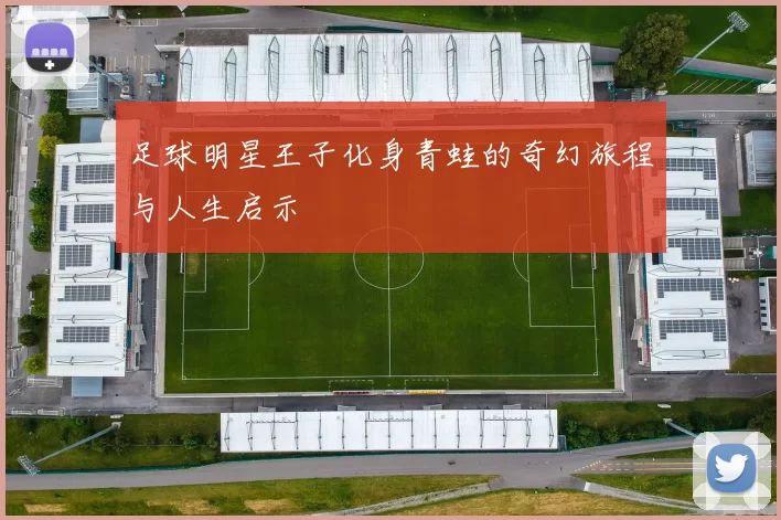 足球明星王子化身青蛙的奇幻旅程与人生启示