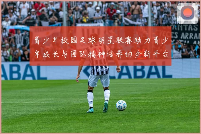 青少年校园足球明星联赛助力青少年成长与团队精神培养的全新平台
