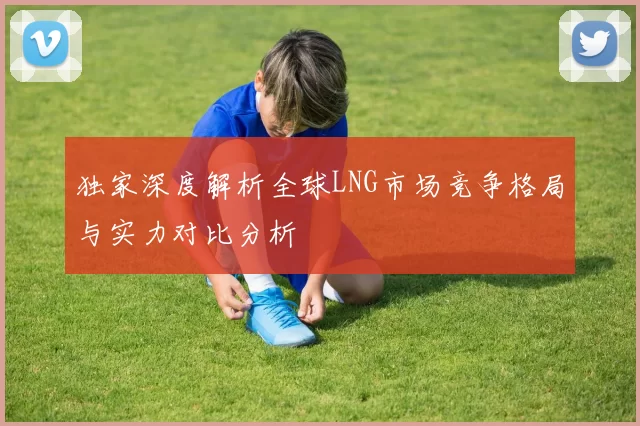 独家深度解析全球LNG市场竞争格局与实力对比分析