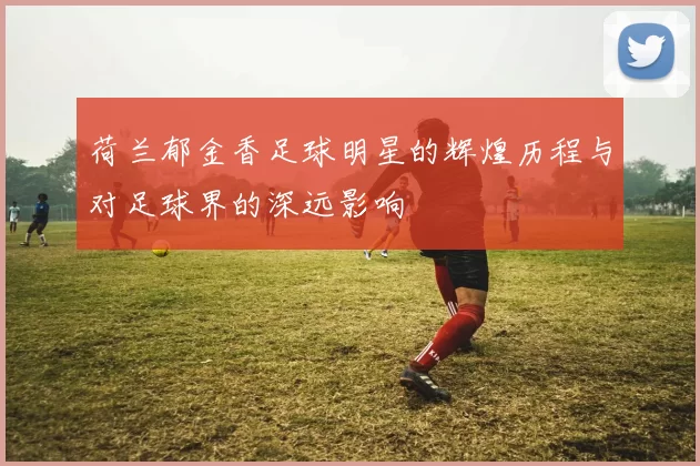 荷兰郁金香足球明星的辉煌历程与对足球界的深远影响