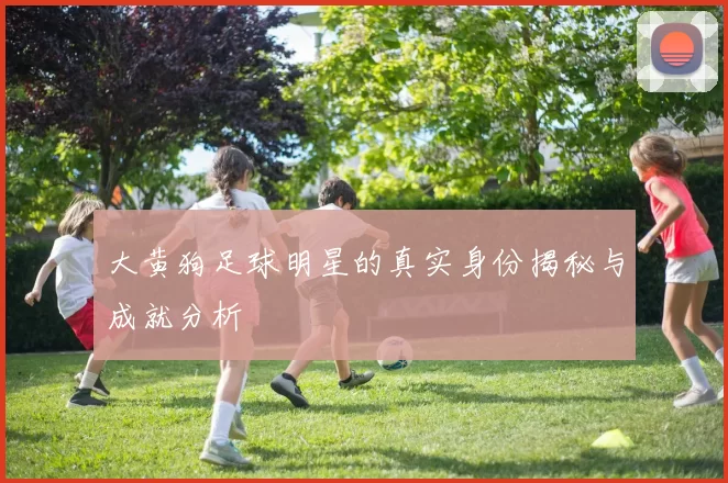 大黄狗足球明星的真实身份揭秘与成就分析