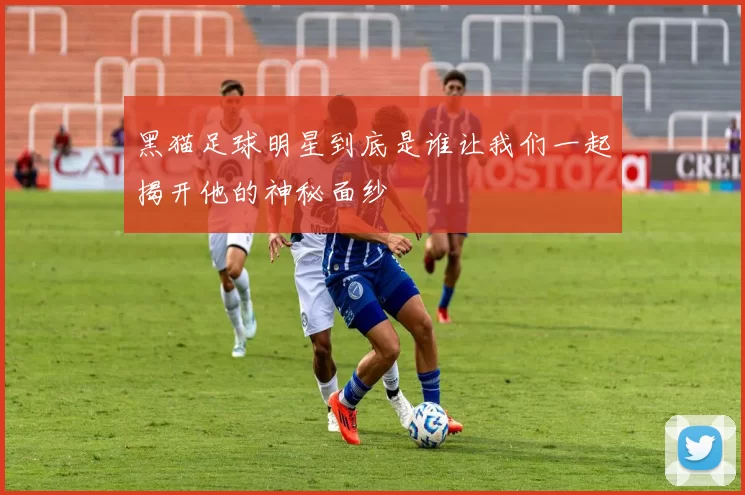 黑猫足球明星到底是谁让我们一起揭开他的神秘面纱