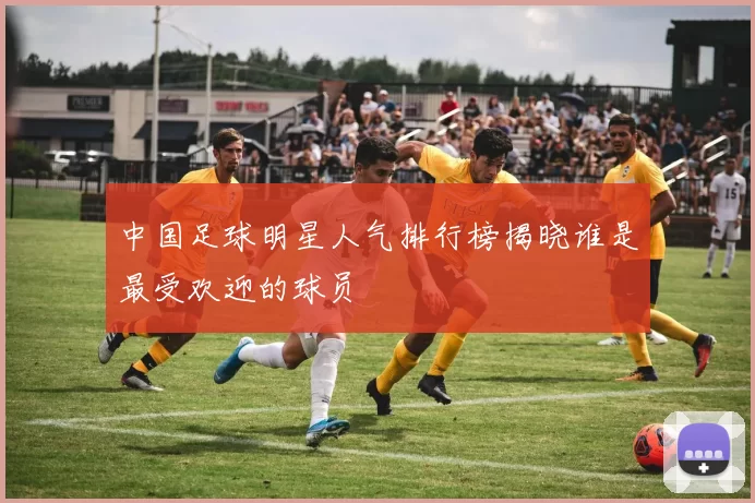 中国足球明星人气排行榜揭晓谁是最受欢迎的球员