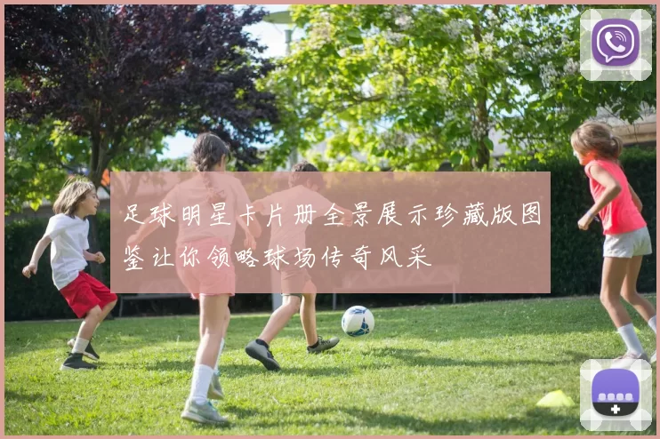 足球明星卡片册全景展示珍藏版图鉴让你领略球场传奇风采