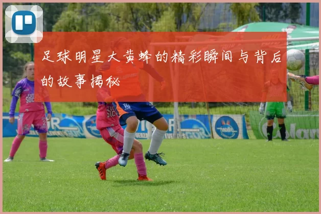 足球明星大黄蜂的精彩瞬间与背后的故事揭秘