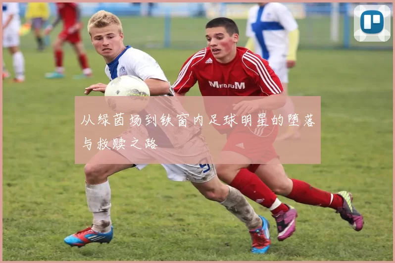 从绿茵场到铁窗内足球明星的堕落与救赎之路