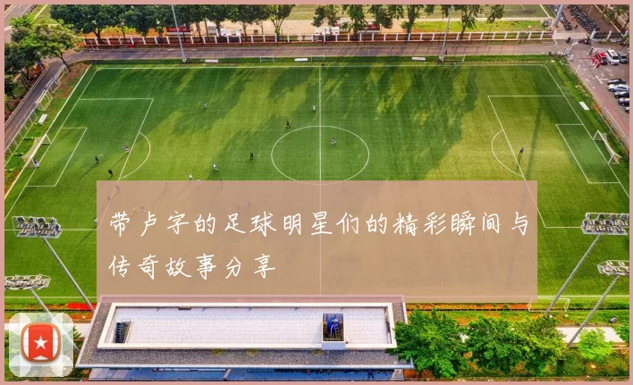带卢字的足球明星们的精彩瞬间与传奇故事分享