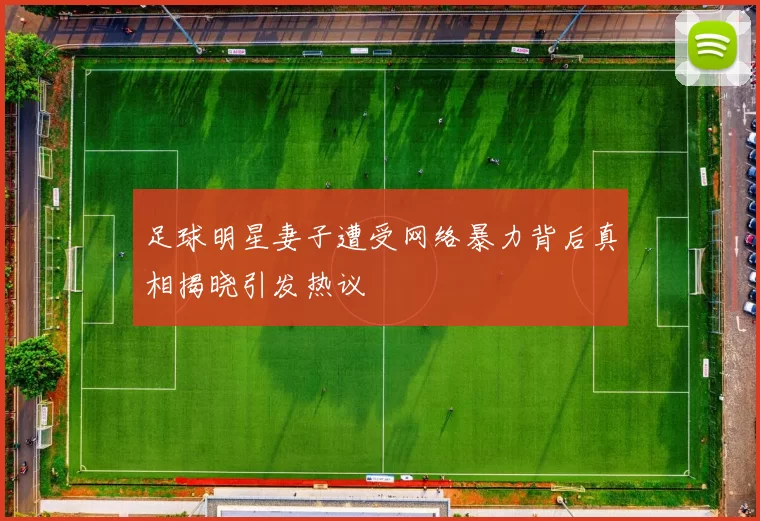 足球明星妻子遭受网络暴力背后真相揭晓引发热议