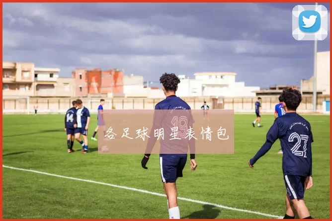 各足球明星表情包